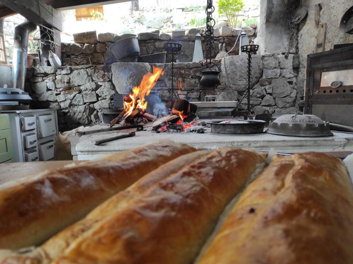 Toncevi Eco Estate Hotel Branik Buitenkant foto