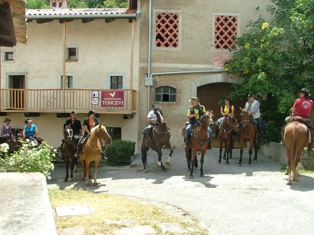 Toncevi Eco Estate Hotel Branik Buitenkant foto